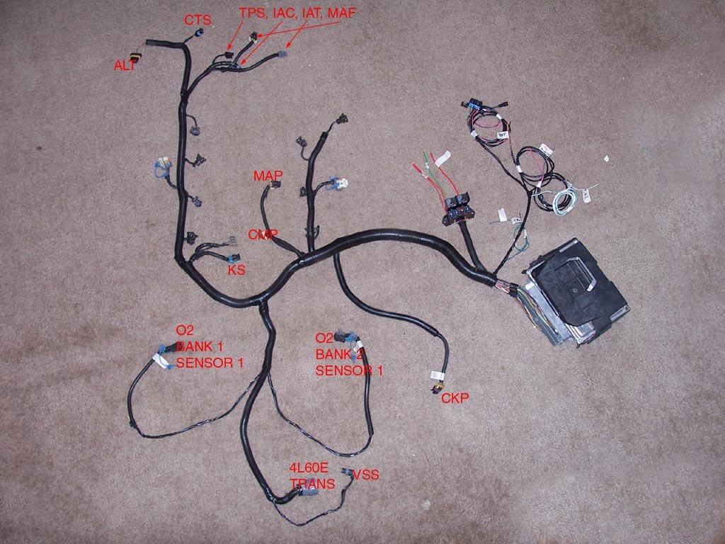 Wiring information for 1998 to 2002 Camaro & Firebird LS1