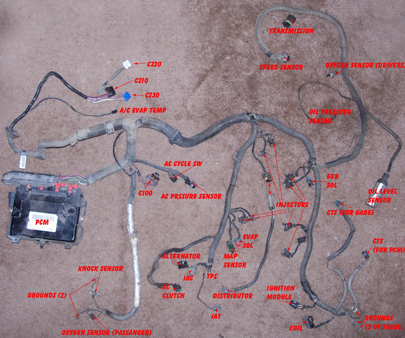 1993 Camaro Lt1 Wiring Harness Information