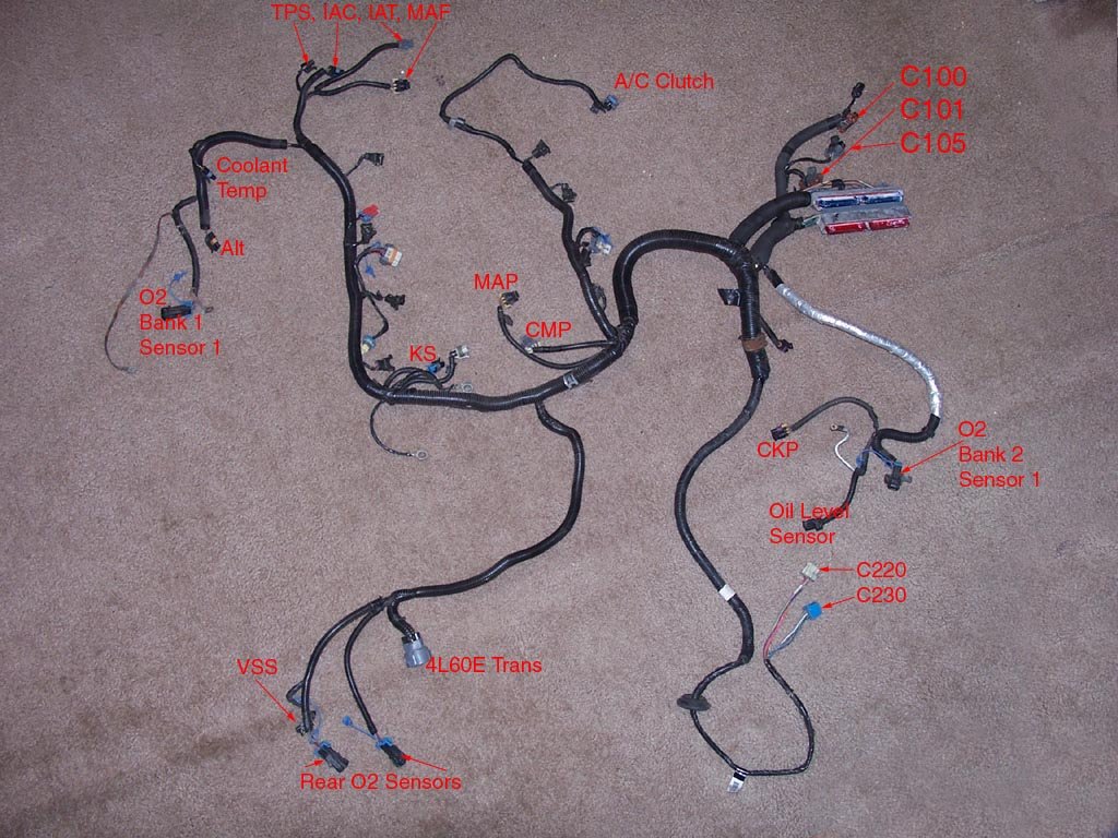 Bmw ls1 swap wiring #4