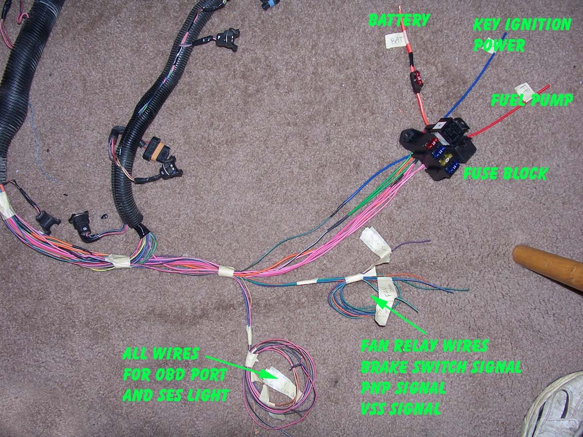 1995 Impala SS, Caprice, Roadmaster wire harness info  LT1 Swap